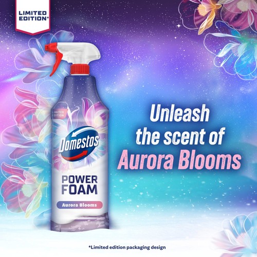 Domestos Power Foam Aurora Blooms Winter 650ml